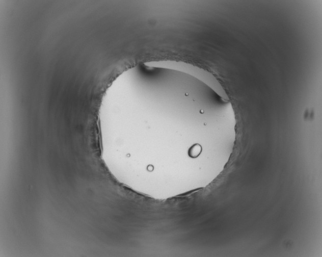 X0000112520192200909141231