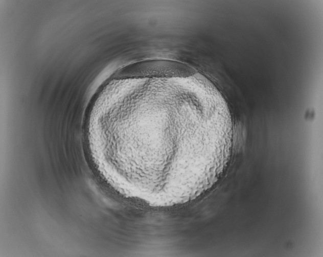 X0000112520195200909141231