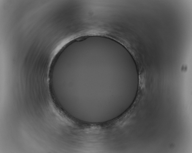 X0000112520196200909141231