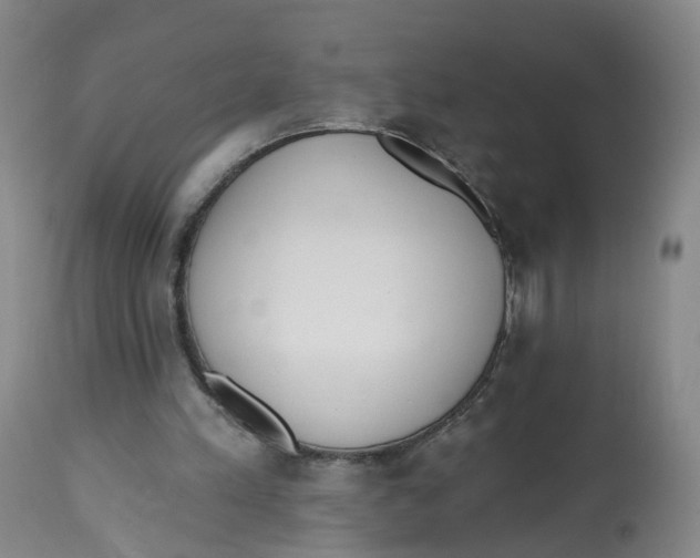 X0000112520197200909141231