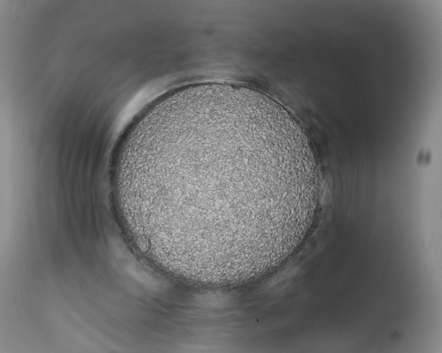 X0000112520198200909141231