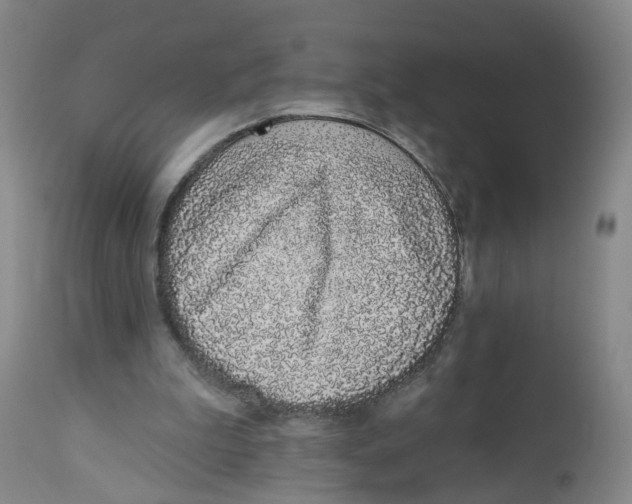 X0000112520199200909141230