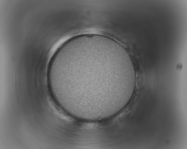 X0000112520200200909141230