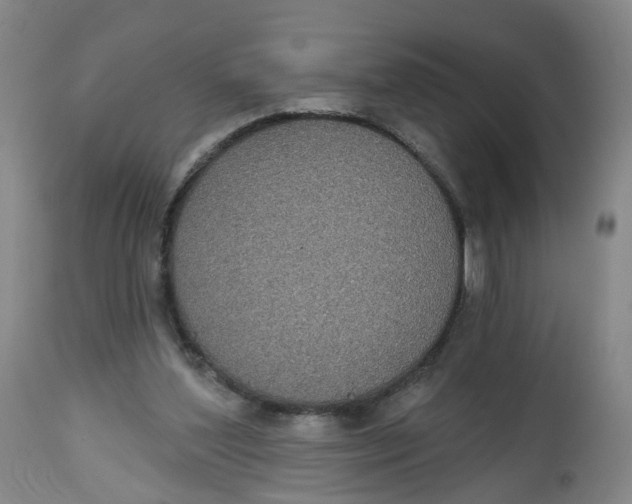 X0000112520204200909141230
