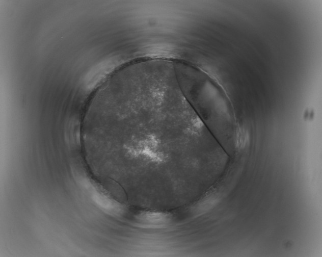 X0000112520205200909141230