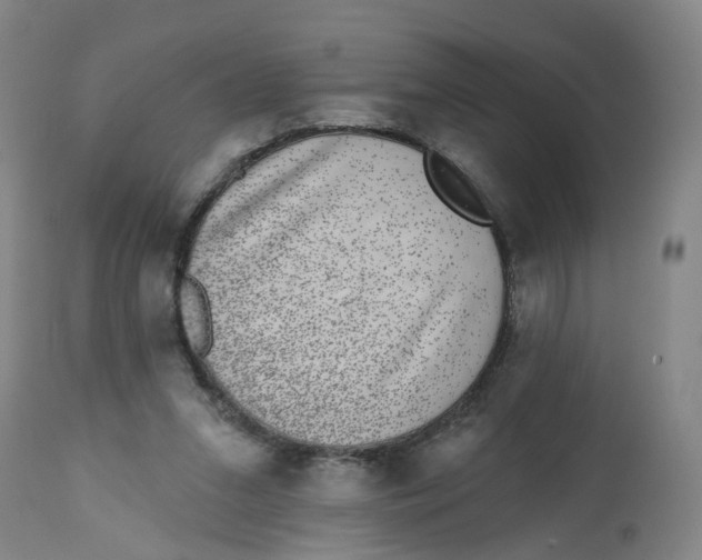 X0000112520207200909141230