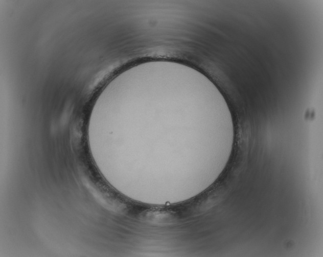 X0000112520208200909141230