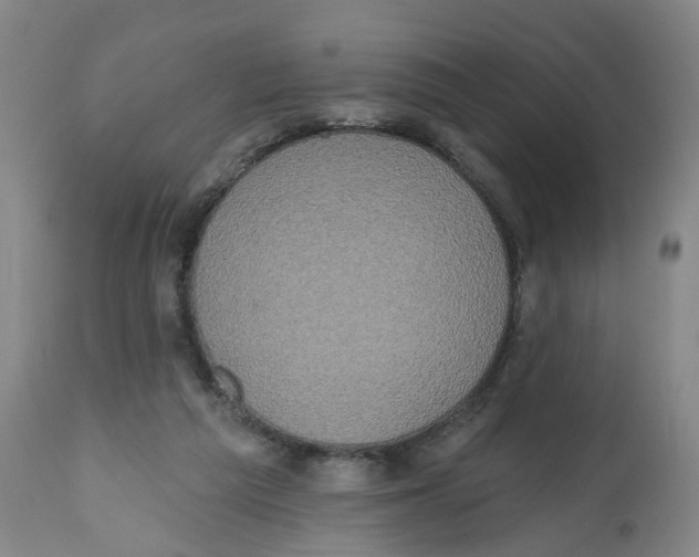 X0000112520209200909141230