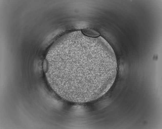 X0000112520211200909141230