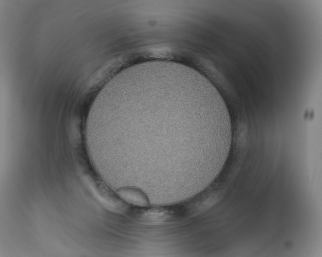 X0000112520213200909141230