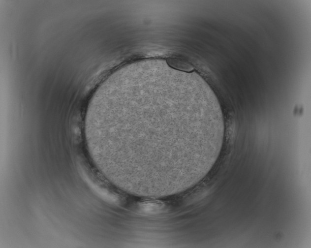 X0000112520215200909141230