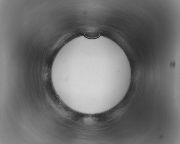 X0000112520216200909141230