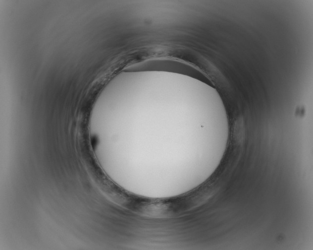 X0000112520217200909141230