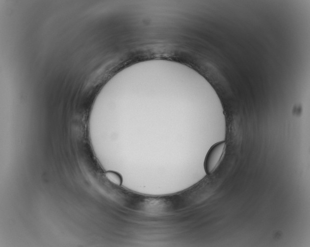 X0000112520218200909141230