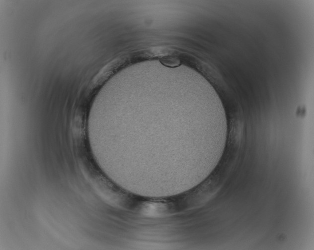X0000112520220200909141230
