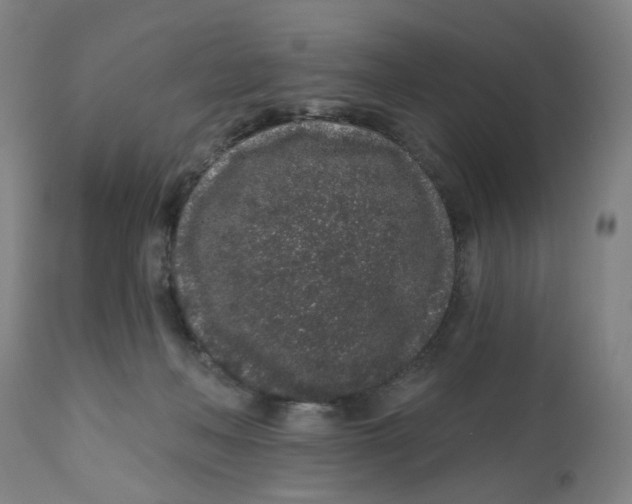 X0000112520222200909141230