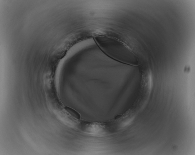 X0000112520223200909141230