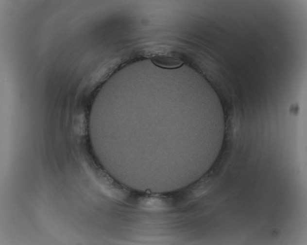 X0000112520224200909141230