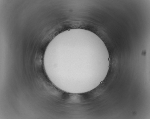 X0000112520226200909141230