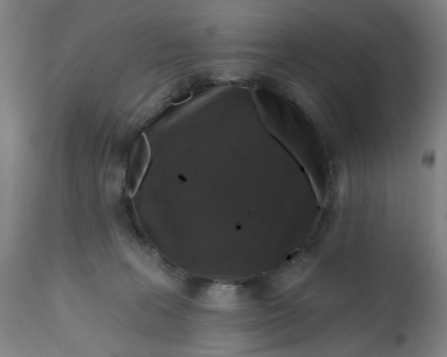 X0000112520227200909141230