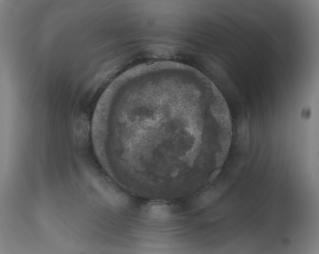 X0000112520228200909141230