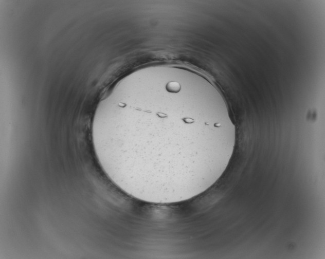 X0000112520229200909141230
