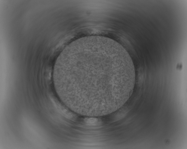 X0000112520230200909141230
