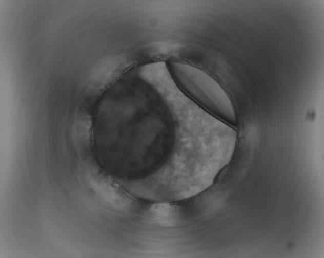 X0000112520231200909141230