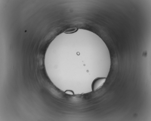 X0000112520232200909141230