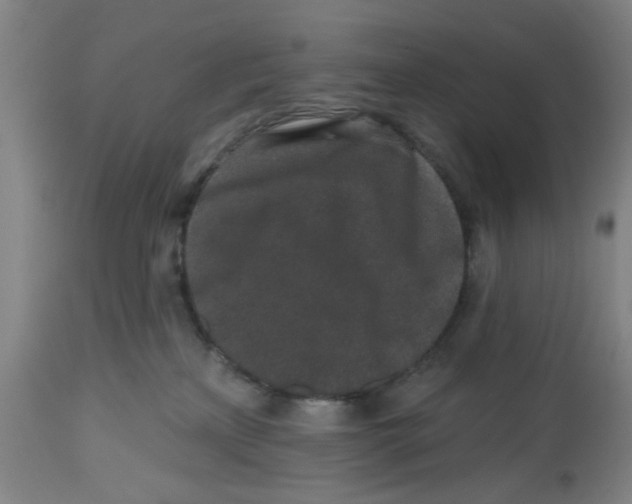 X0000112520233200909141230