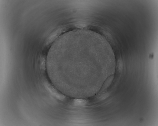 X0000112520234200909141230