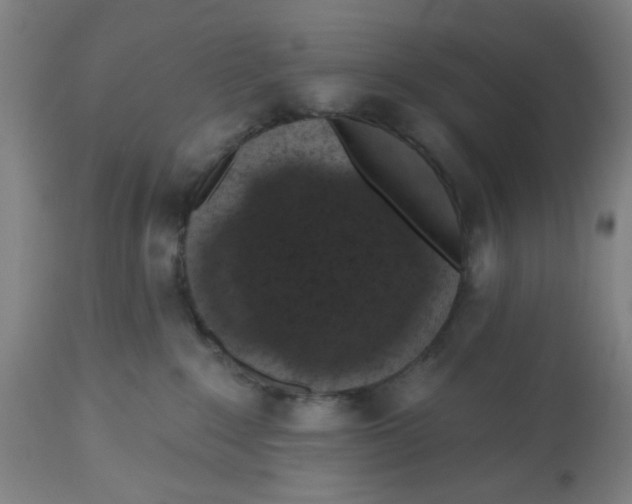 X0000112520235200909141230