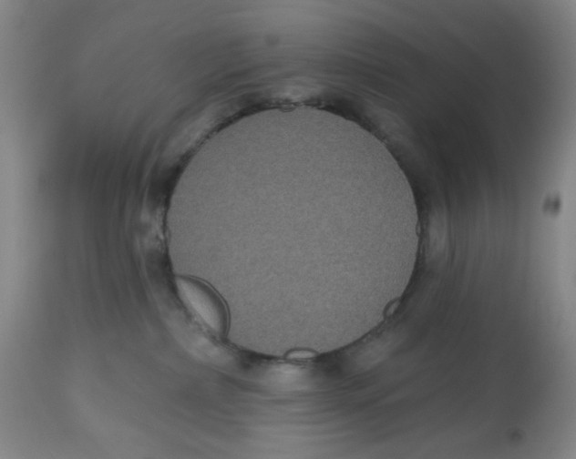 X0000112520236200909141230