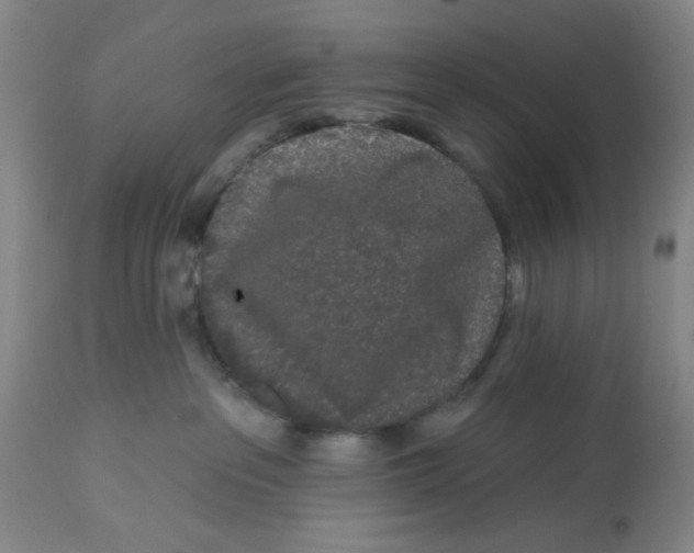 X0000112520237200909141230
