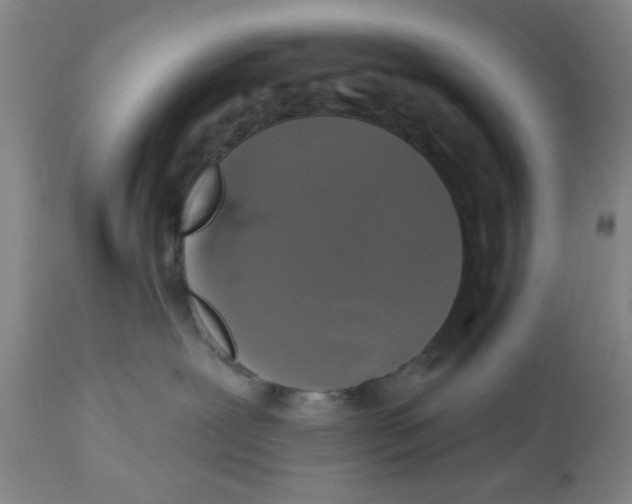 X0000112520239200909141230