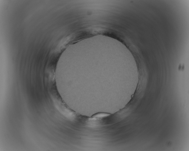 X0000112520240200909141230