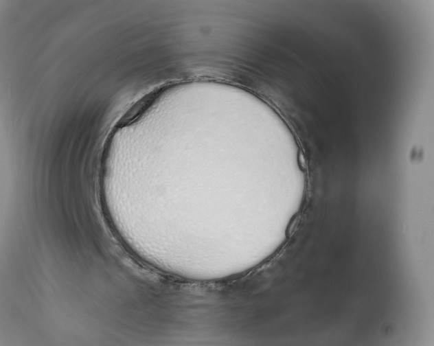 X0000112520241200909141229