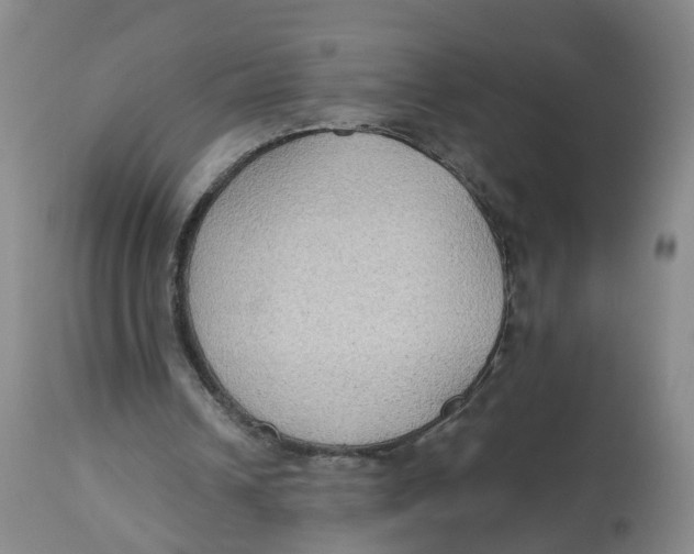 X0000112520242200909141229