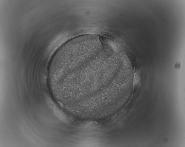 X0000112520243200909141229