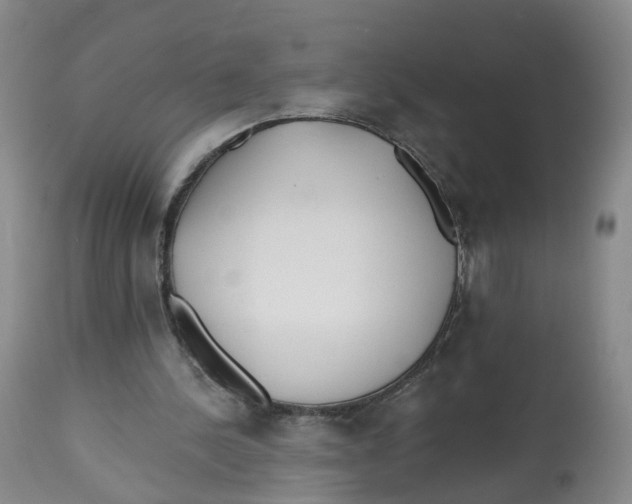 X0000112520244200909141229