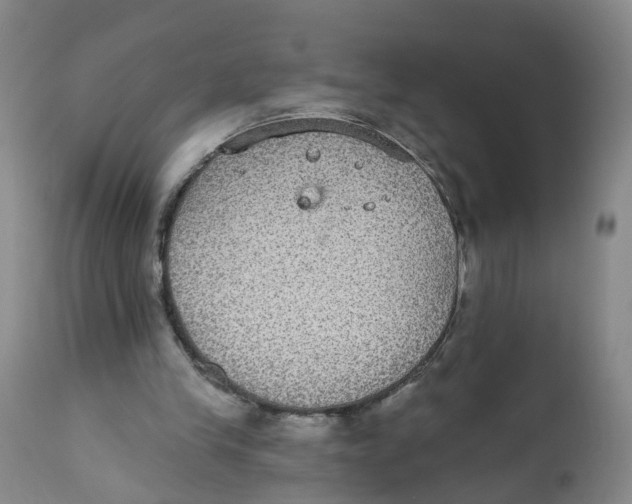 X0000112520245200909141229