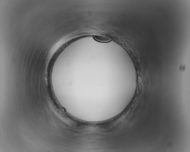 X0000112520246200909141229