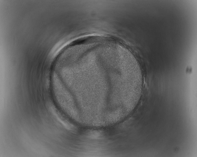 X0000112520247200909141229