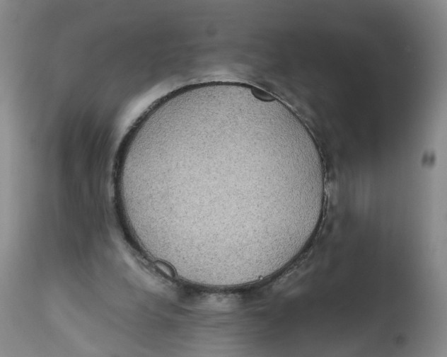 X0000112520248200909141229