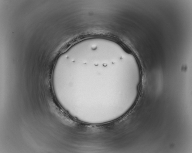 X0000112520249200909141229