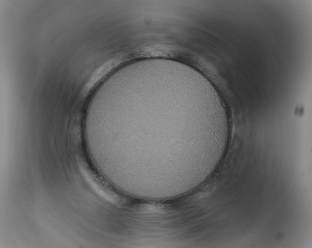 X0000112520250200909141229