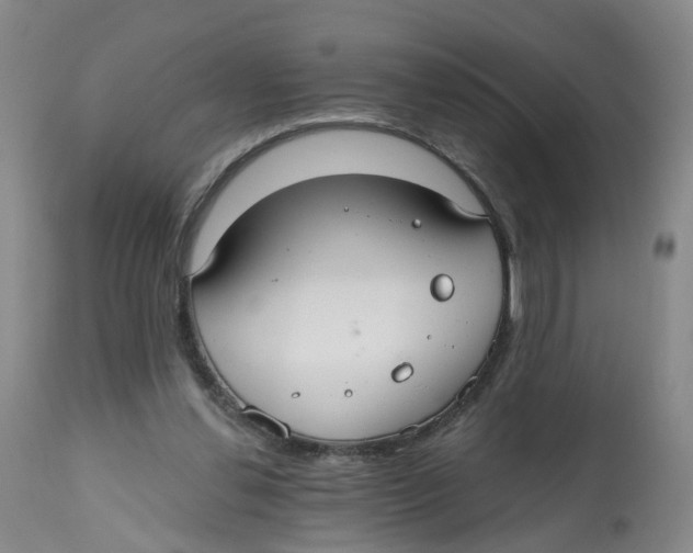 X0000112520252200909141229