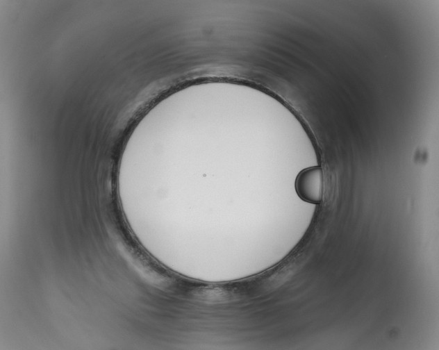 X0000112520253200909141229