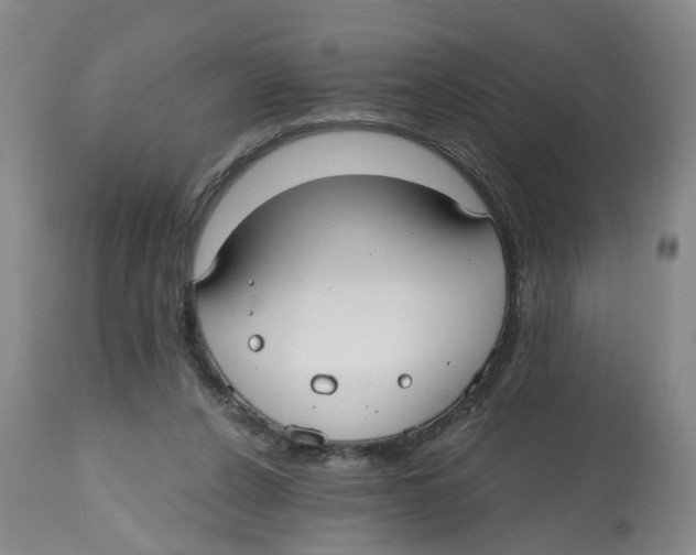 X0000112520256200909141229