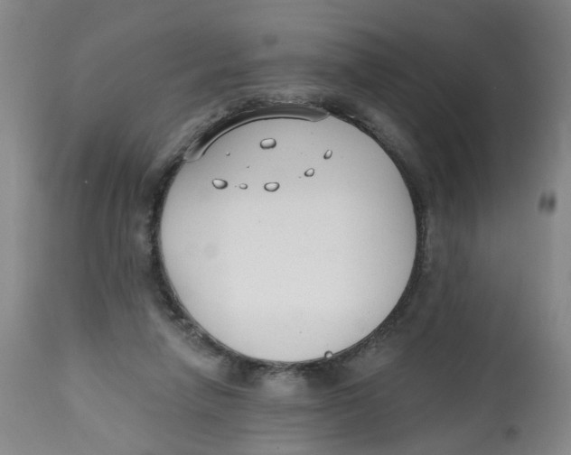 X0000112520258200909141229